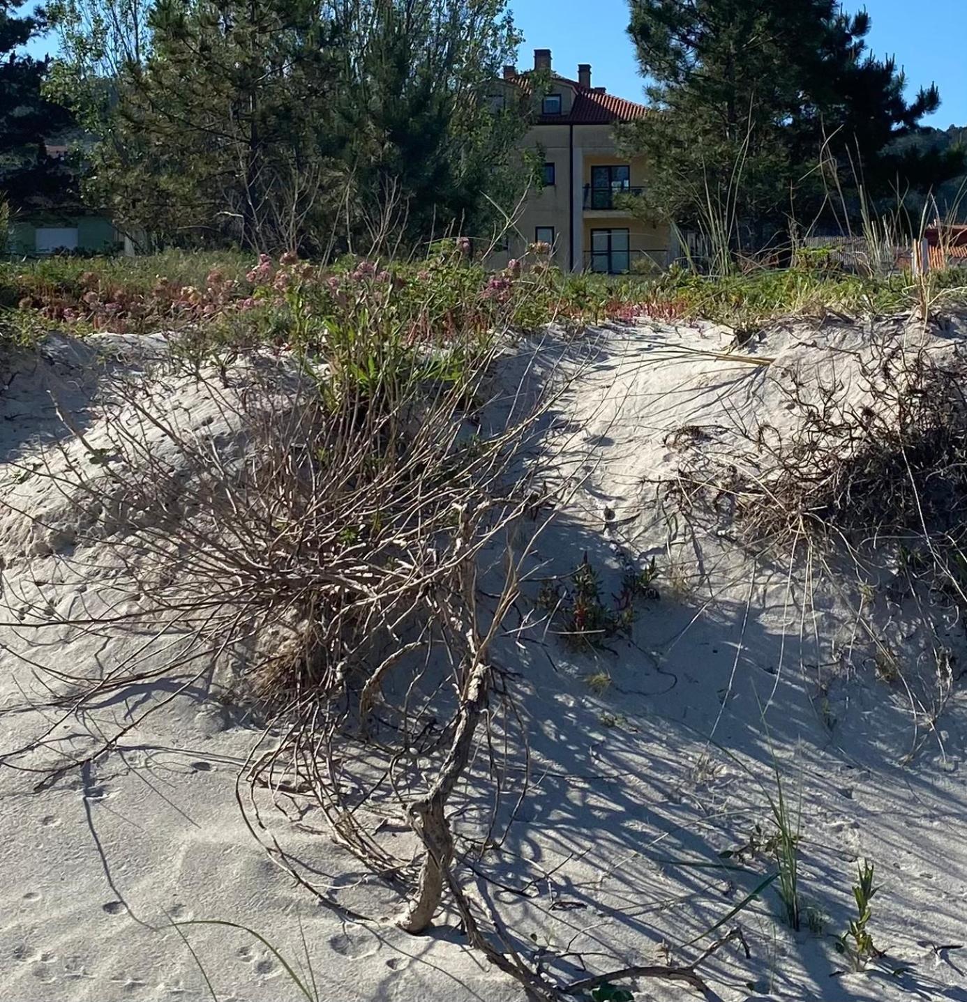 Apto Las Dunas De Langosteira En Finisterre Exteriér fotografie